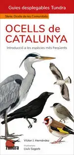 Günstig OCELLS DE CATALUNYA (CAT). VICTOR J HERNANDEZ. Libro en papel. 9788419624864 Muntanya de Llibres
