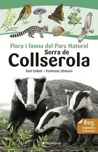 Neue Ware FLORA I FAUNA DEL PARC NATURAL SERRA DE COLLSEROLA. FLORA I FAUNA DEL PARC NATURAL. LLIMONA, FRANCESC. Libro en papel. 9788413564524 Muntanya de Llibres
