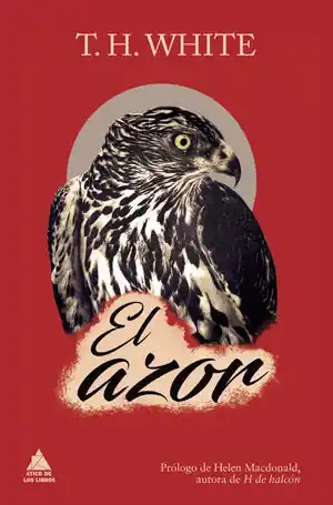 Garantierte Lieferung AZOR, EL