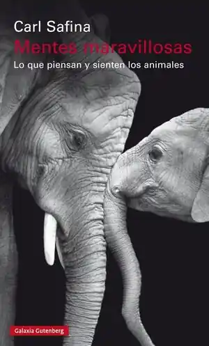 MENTES MARAVILLOSAS. LO QUE PIENSAN Y SIENTEN LOS ANIMALES Sonderangebot