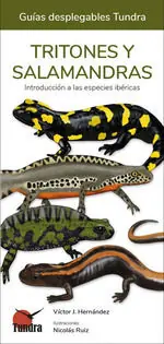 TRITONES Y SALAMANDRAS Günstig