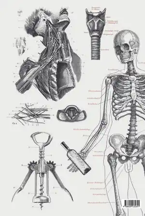 VINOS Gleich Bestellen