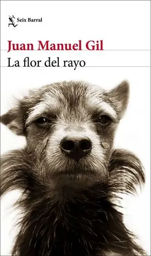 LA FLOR DEL RAYO Limited Edition