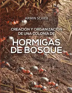 HORMIGAS DE BOSQUE Knallerangebot
