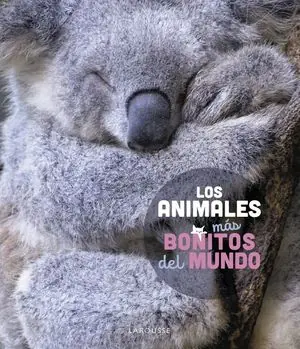 Geprüft LOS ANIMALES MÁS BONITOS DEL MUNDO