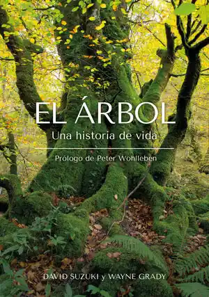 Abverkauf EL ÁRBOL