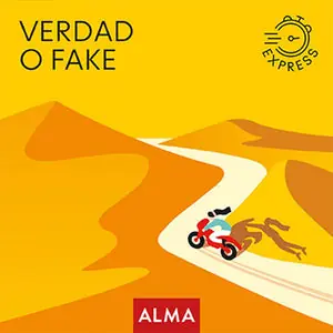 Gratis Versand VERDAD O FAKE EXPRESS