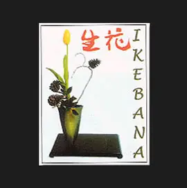 IKEBANA Im Trend