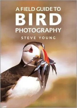 A FIELD GUIDE TO BIRD PHOTOGRAPHY Kostenloser Versand