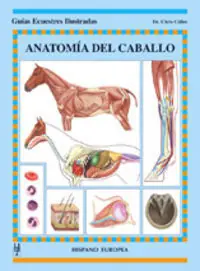 Günstig ANATOMIA DEL CABALLO GEI