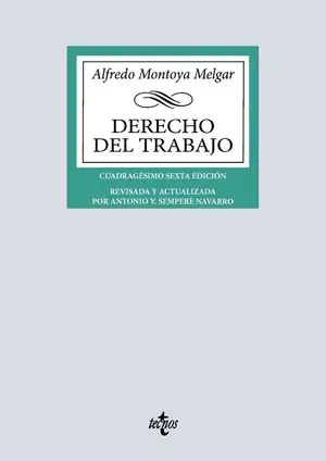 DERECHO DEL TRABAJO (2025) Schnäppchen