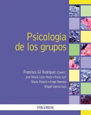 PSICOLOGIA DE LOS GRUPOS Schneller Versand