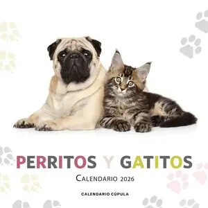 CALENDARIO PARED PERRITOS Y GATITOS 2026 Heißes Angebot