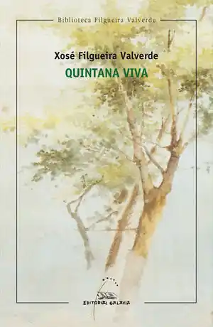QUINTANA VIVA Kostenfreie Lieferung