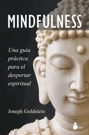 Solange Der Vorrat Reicht MINDFULNESS: UNA GUIA PRACTICA PARA EL DESPERTAR ESPIRITUAL