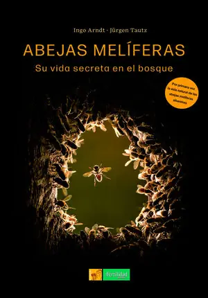 ABEJAS MELIFERAS, SU VIDA SECRETA EN EL BOSQUE Exklusiv