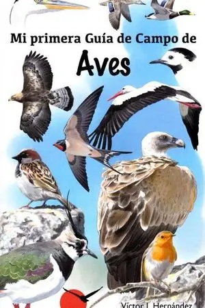 MI PRIMERA GUIA DE CAMPO DE AVES Beliebt