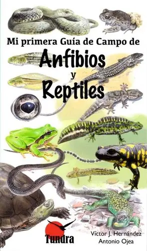Geld-Zurück-Garantie MI PRIMERA GUÍA DE CAMPO DE ANFIBIOS Y REPTILES. MI PRIMERA GUÍA DE CAMPO