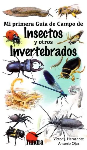MI PRIMERA GUÍA DE CAMPO DE INSECTOS Y OTROS INVERTEBRADOS Versand Am Gleichen Tag