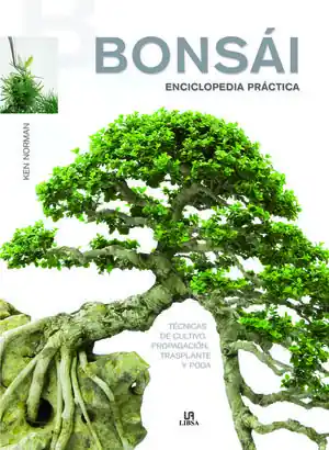Ab Werk BONSÁI ENCICLOPEDIA PRÁCTICA. TÉCNICAS DE CULTIVO, PROPAGACIÓN, TRASPLANTE Y PODA