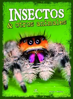 Saisonangebot INSECTOS Y OTROS ANIMALES