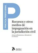 RECURSOS Y OTROS MEDIOS DE IMPUGNACION EN LA JURISDICCION CIVIL Exklusiv
