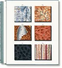 JAN CHRISTIAAN SEPP. THE BOOK OF MARBLE Direkt Vom Hersteller