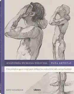 ANATOMÍA HUMANA ESENCIAL PARA ARTISTAS. UNA COMPLETA GUÍA VISUAL PARA DIBUJAR LAS ESTRUCTURAS DEL CUERPO HUMANO Neue Ware