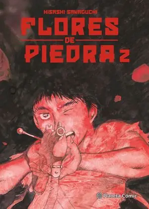FLORES DE PIEDRA Nº 02/05 Knallerangebot