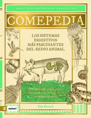 Hochwertig COMEPEDIA. LOS SISTEMAS DIGESTIVOS MÁS FASCINANTES DEL REINO ANIMAL
