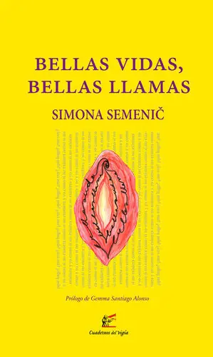 BELLAS VIDAS, BELLAS LLAMAS Sale