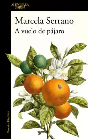 Preisknaller A VUELO DE PÁJARO