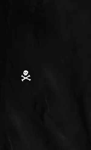 Sonderangebot EL CÓDIGO PIRATA. LEYES Y VIDA A BORDO