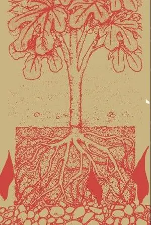 Wochenendangebot AUTONOMÍA Y SUBSISTENCIA. UNA TEORÍA ECOSOCIAL Y MATERIALISTA DE LA LIBERTAD