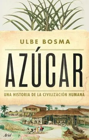 AZÚCAR. UNA HISTORIA DE LA CIVILIZACIÓN HUMANA Aktuell