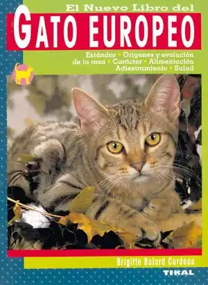 Hochwertig GATO EUROPEO