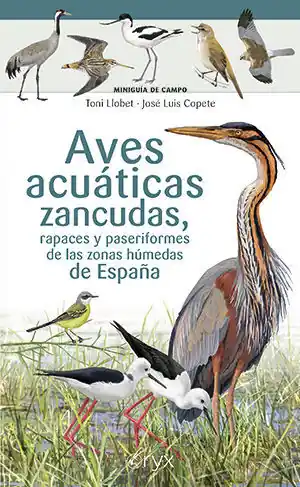 Versand Am Gleichen Tag AVES ACUÁTICAS ZANCUDAS, RAPACES Y PASERIFORMES DE LAS ZONAS HÚMEDAS DE ESPAÑA