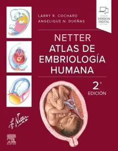 ATLAS NETTER DE EMBRIOLOGÍA HUMANA Top-Preis